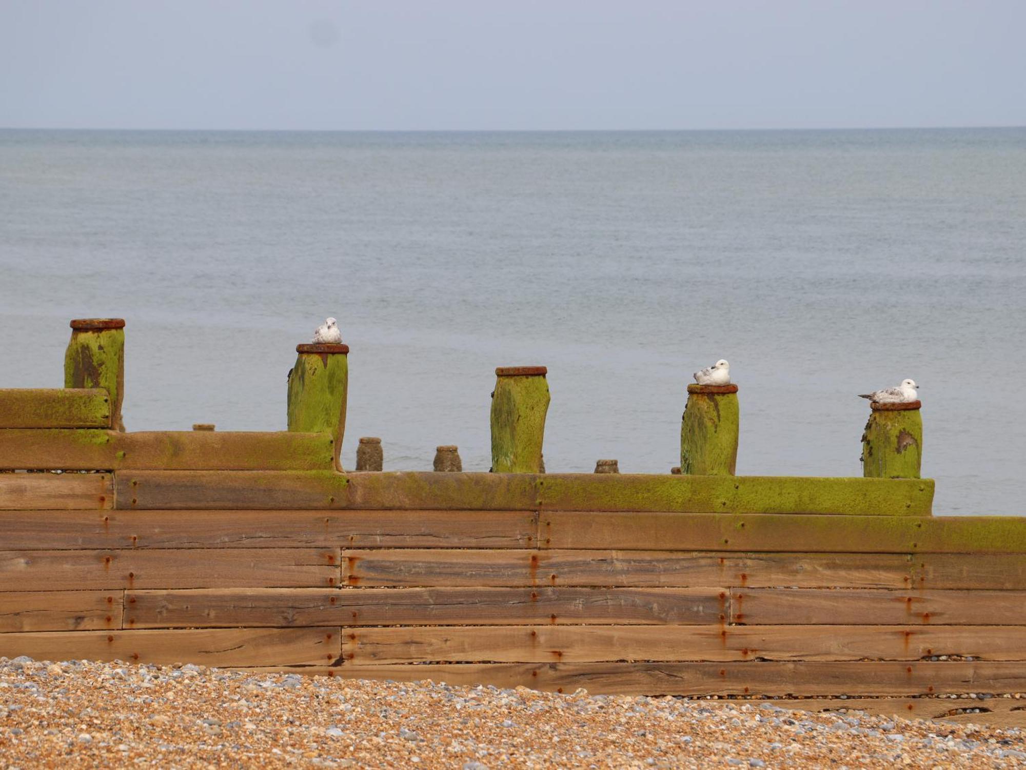 Officer'S Mess Villa Torneo de Torneo de Eastbourne Exterior foto